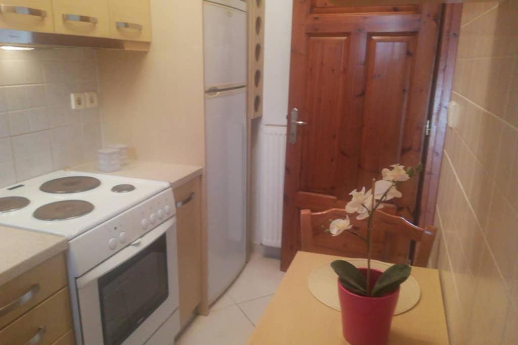 Vaso House Appartement Skiathos-stad Buitenkant foto